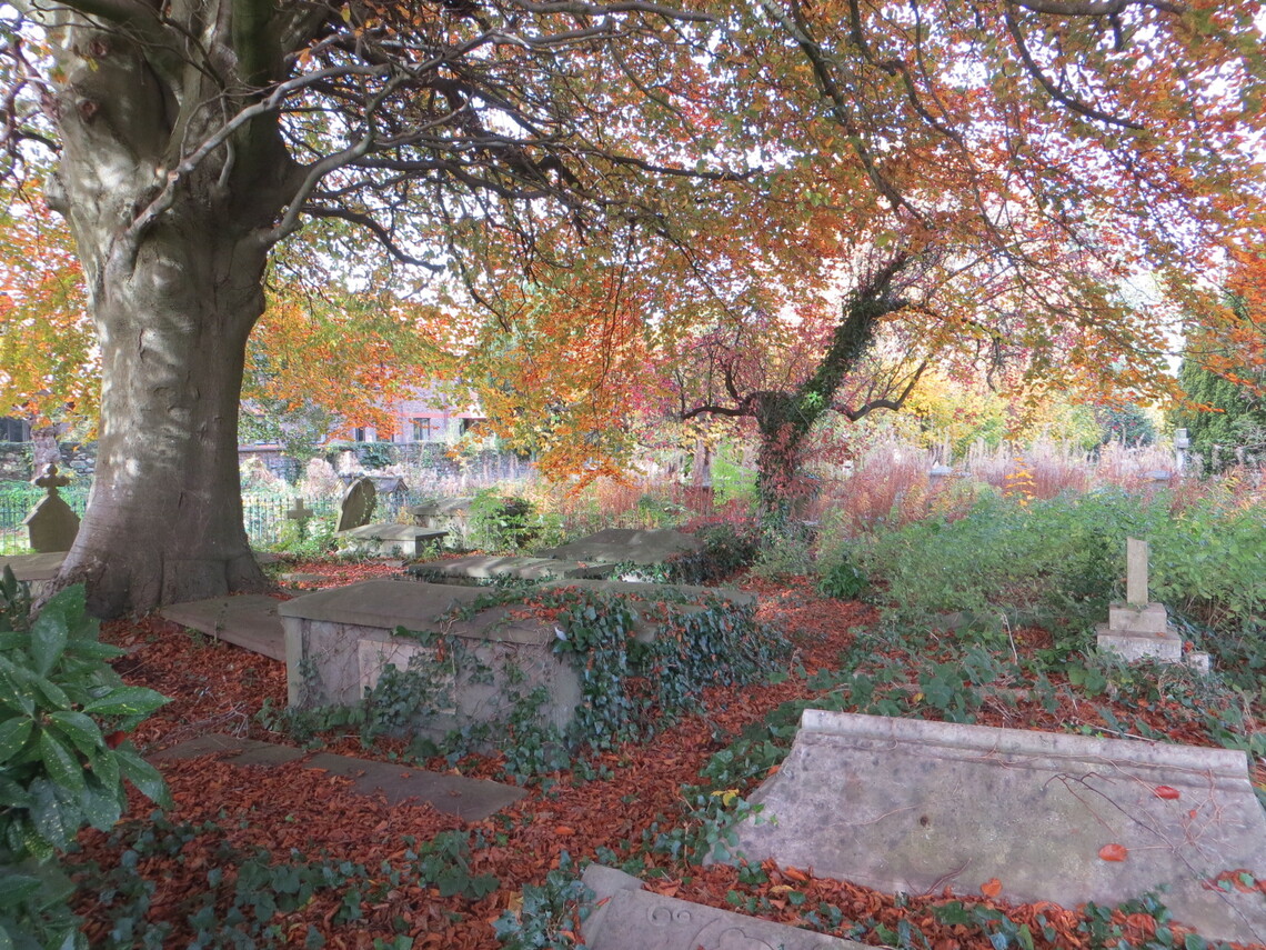 Churchyard Autumn 13-11-21 (NC IMG2267)