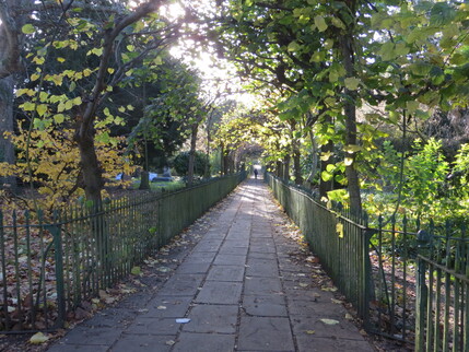 Birdcage Walk, Autumn