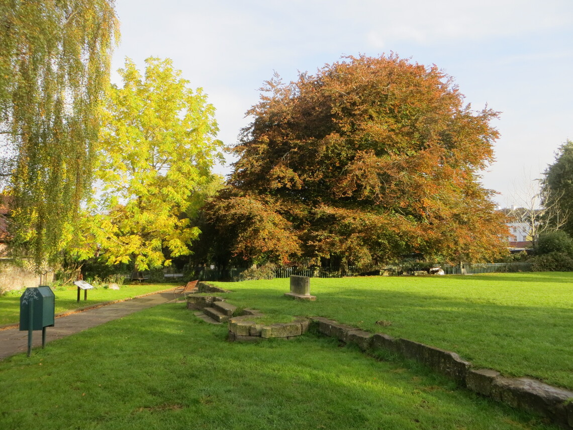 AGM 2023 Friends of Birdcage Walk and St Andrew's Churchyard
