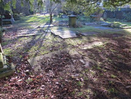 NW corner Jan 2023 IMG_3995.JPG