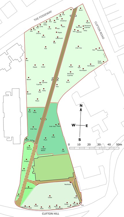 Trees map