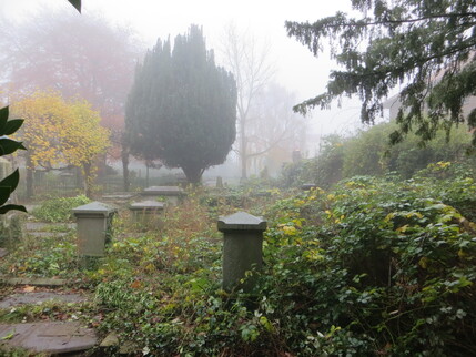 Winter scene Dec 2022 IMG_3842