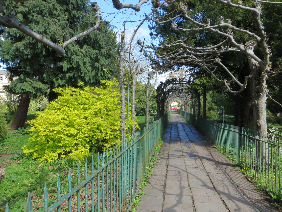 Home Friends of Birdcage Walk and St Andrew s Churchyard