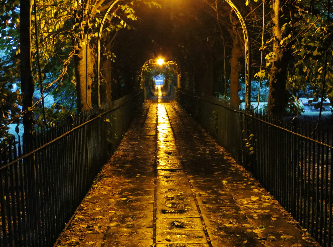 Birdcage walk at night 13-7-18 (NC IMG9270a)