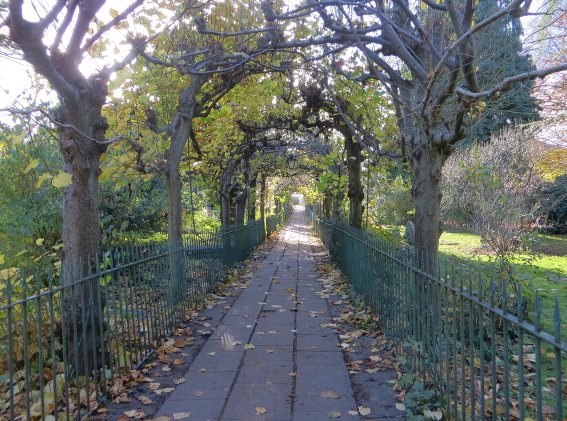 Birdcage Walk Autumn 2 IMG2286