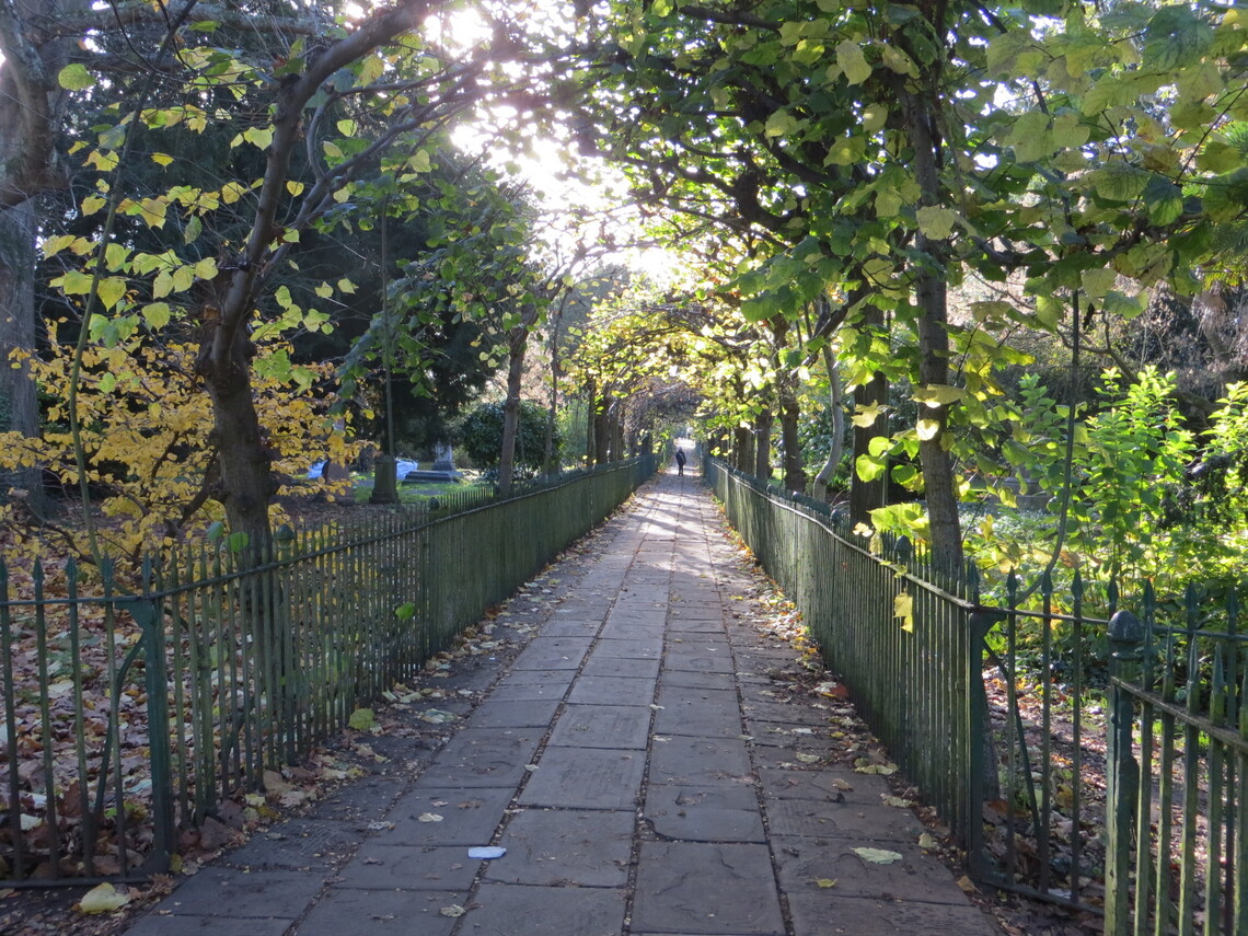 Birdcage Walk, Autumn (NC IMG2285)