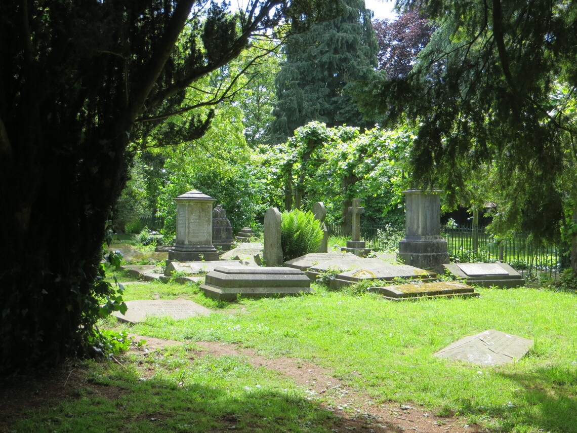 Churchyard 21-5-22 (NC IMG 2861)