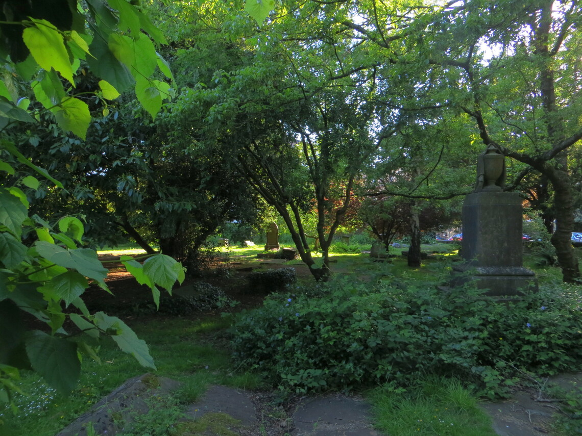 Churchyard 31-5-22 (NC IMG2888 a)