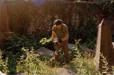 Gardening 10