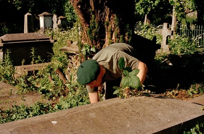 Gardening 2
