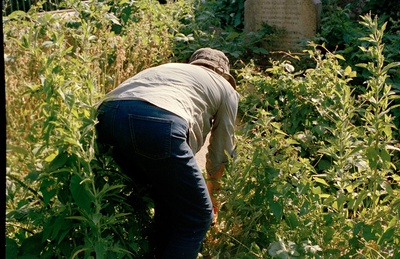 Gardening 6