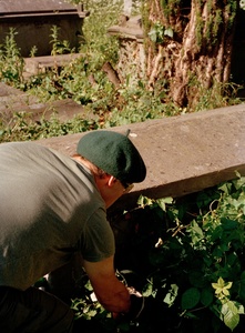 Gardening 7