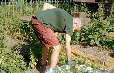 Gardening 8