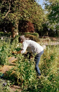 Gardening 9