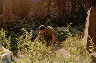 Gardening 11