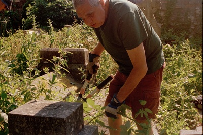 Gardening 12