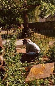 Gardening 15