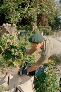 Gardening 19