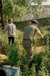 Gardening 20