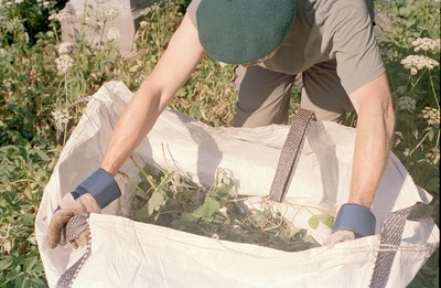 Gardening 24