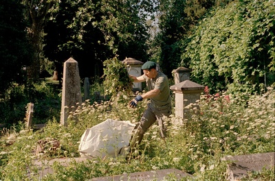 Gardening 25