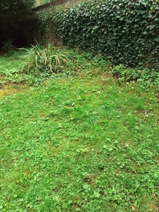 Hibernaculum