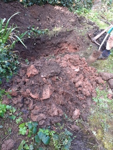3. Resume digging - as we reach 40 cm we hit sticky red clay