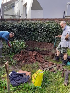 4. Ed and Norman digging down  removing bramble roots