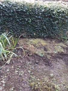 8. All the soil which was dug out was put back on top of the stone and branches. We tapped it down firmly and then laid the turf we had removed on top. 