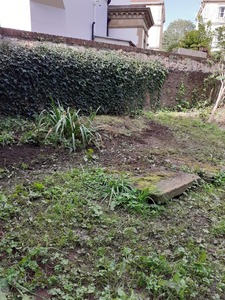 10. The Hibernaculum blends well into the bank. Hopefully a lizard or two will overwinter here.